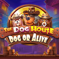 The Dog House – Dog or Alive